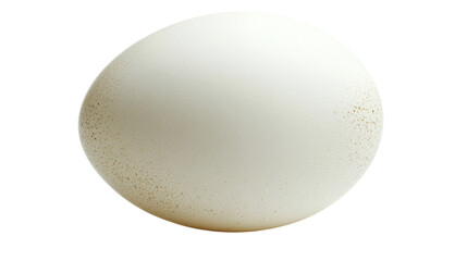 White egg transparent background