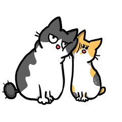 我が子の兄妹猫