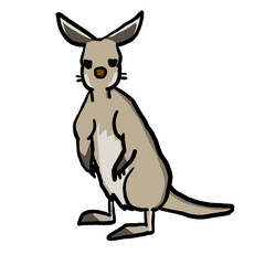 カンガルーじゃありませんワラビーです。