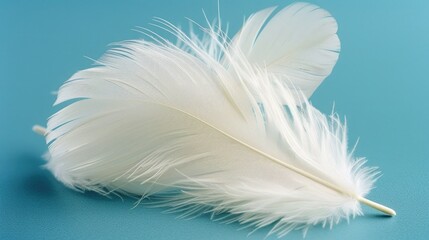 Obraz premium A single white feather lies on a blue surface, providing a subtle contrast of colors