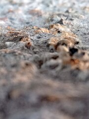 stony surface