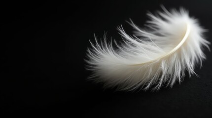 Obraz premium Soft Fluffy White Down Feather on Black Background - Low Light Photography, Close-Up, Textured, Minimalist, Macro Shot, Elegant, Softness