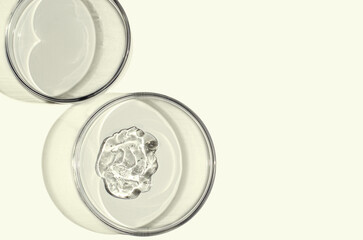 A sample of skin serum or moisturizing gel in a Petri dish. A cosmetic product. Copy space