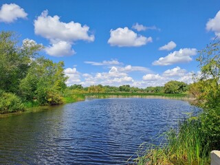 landscape with lake
