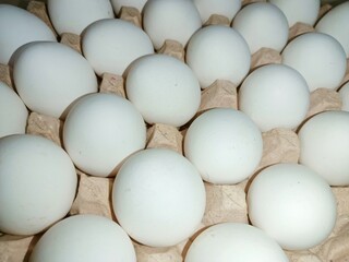 eggs in a carton raw chicken eggs in paper egg tray on white background. Group of Fresh white Eggs in a cardboard cassette. Organic food from nature good for health