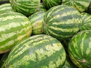 watermelons on the market