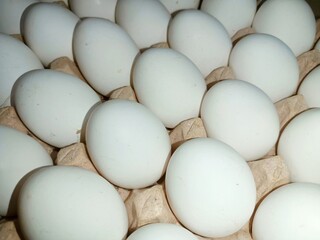 White eggs in trey box raw chicken eggs in paper egg tray on white background. Group of Fresh white Eggs in a cardboard cassette. Organic food from nature good for health