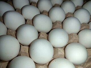eggs in the market