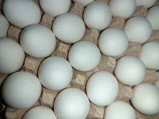 Eggs in line in Box selling in market  raw chicken eggs in paper egg tray on white background. Group of Fresh white Eggs in a cardboard cassette. Organic food from nature good for health