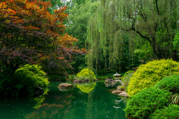 A Zen garden, or a Japanese rock garden or karesansui, is a tranquil, meditative space designed to promote peace and reflection. Imagine stepping into a serene garden where simplicity, natural element