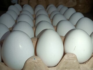 eggs in the box packege for selling in market 