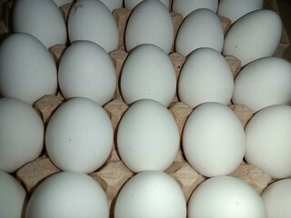 eggs in a carton packege 