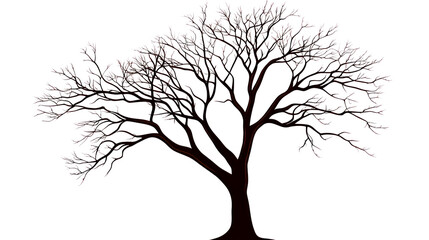 Obraz premium tree with branches without leaves simple lines and shapes, one color illustration
