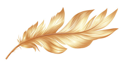 Obraz premium Colorful animal feather transparent background