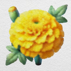 Bright Yellow Marigold in Watercolor Style with clipping path
