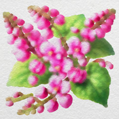 Pink Coral Vine Flowers in Watercolor Style with clipping path