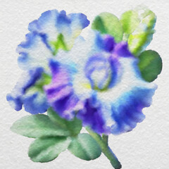 Purple and White Flower in Watercolor Style with clipping path