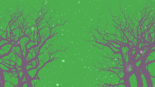 outdoors, branches with beautiful snowdrops
