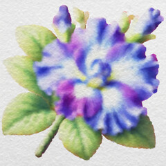 Blue and Violet Flower in Watercolor Style with clipping path