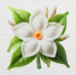 White Floral Bloom with Green Leaves with clipping path