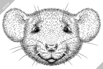 Vintage engraving isolated mouse set illustration mice ink sketch. Rat background rodent silhouette hamster art. Black and white hand drawn vector image