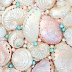 Sea shells and oyster pearl background with mother of pearl abalone, troca and turbo snails. Decorative nature seashell marine life design for greeting card.