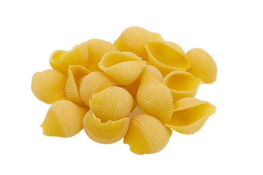 Conchiglie Rigate pasta isolated on white