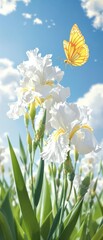 Beautiful white irises in full bloom with yellow and orange summer butterfly hovering nearby, summer, colorful © yuwaree