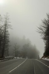 Majestic mountains rise above dense, sprawling forests, creating a harmonious and timeless natural landscape.