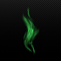 Fototapeta premium Green magical fire flame.