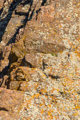Roca