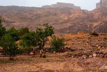 2024 03 13 Jebel Saghro Atlas oasis 53