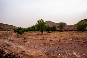 2024 03 13 Jebel Saghro Atlas oasis 60