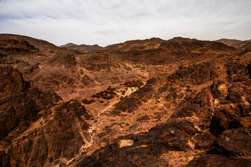 2024 03 13 Jebel Saghro Atlas oasis 66