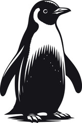 penguin on a white background