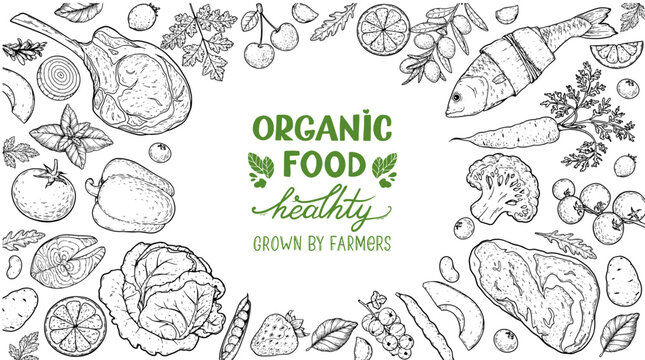 Organic food set. Healthy food frame vector illustration. Vegetables, fruits, meat sketch. Hand drawn vector illustration.
