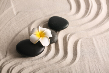 Black stones and tropical flower on light sand with lines. Zen concept