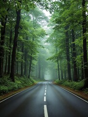 Obraz premium Green forest landscape with winding road and tall trees, green spaces, landscape