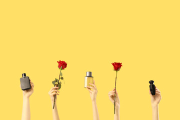 Female hands with bottles of perfume and roses on yellow background