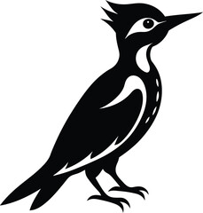 minimalist yet detailed black and white illustration of a woodpecker perched