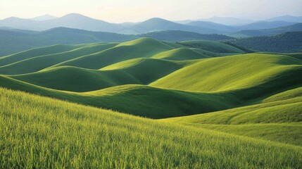 Fototapeta premium Lush Green Rolling Hills and Distant Mountain Range