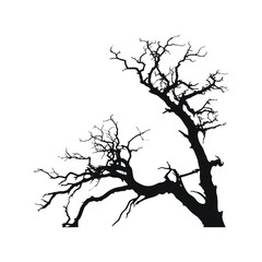 Obraz premium Dead Tree Silhouettes set Clipart on a white Background
