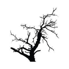 Obraz premium Dead Tree Silhouettes set Clipart on a white Background