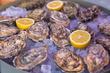 Oysters for eating are on the counter with lemon for sale. Street sale