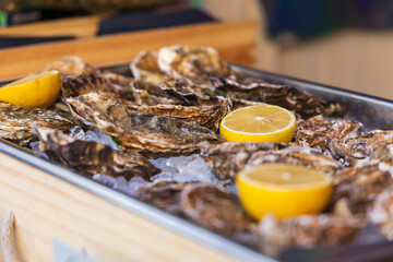 Oysters for eating are on the counter with lemon for sale. Street sale