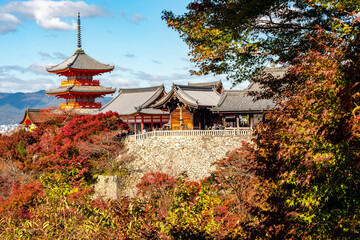 Fototapeta premium Kiyomizu-dera buddhist temple in autumn, Kyoto, Japan