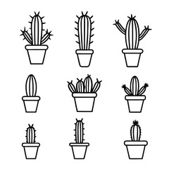 a collection of nine cactus plants in small pots