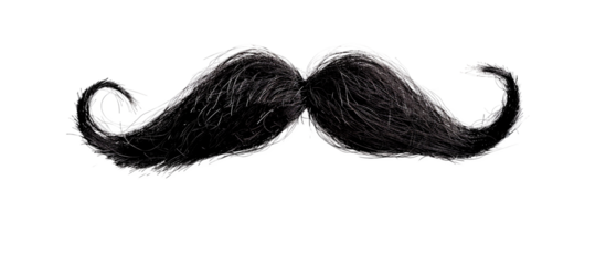 black mustache isolated o transparent background, png, movember prostate cancer charity concept