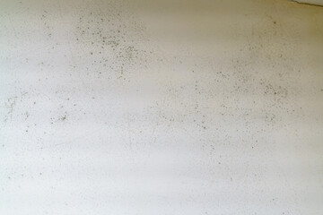 Mould in the ceiling of a bathroom