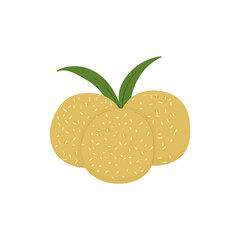 Hand Draw Of  Indonesian Food 
